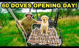 PUBLIC LAND Dove Hunting on OPENING DAY!!! (Catch Clean Cook)
