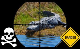 Catch n' Cook WILD Alligator (Gator Nuggets)